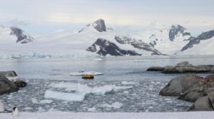 Antarctica Classic with Charter Flights