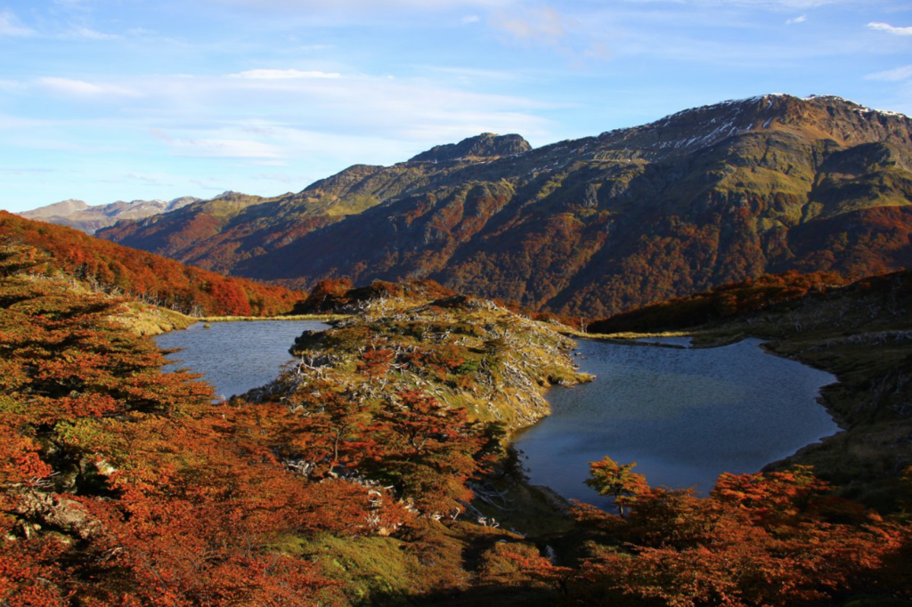 lagunas gemelas ushuaia autumn